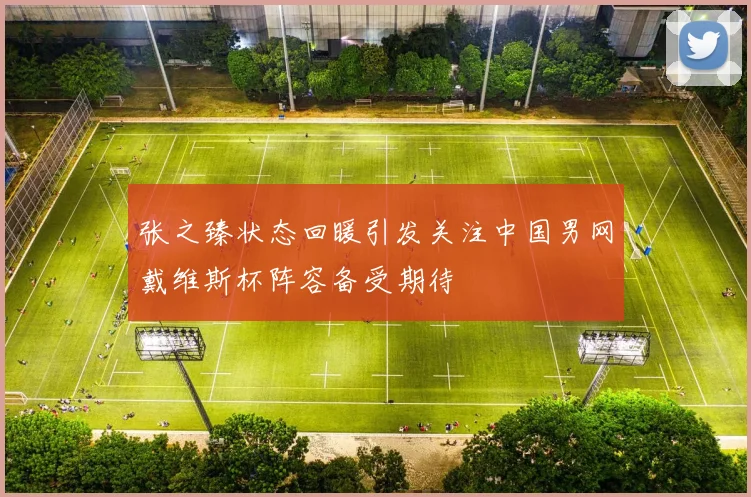 张之臻状态回暖引发关注中国男网戴维斯杯阵容备受期待