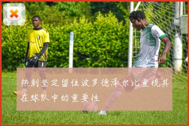 热刺坚定留住波罗德泽尔比重视其在球队中的重要性